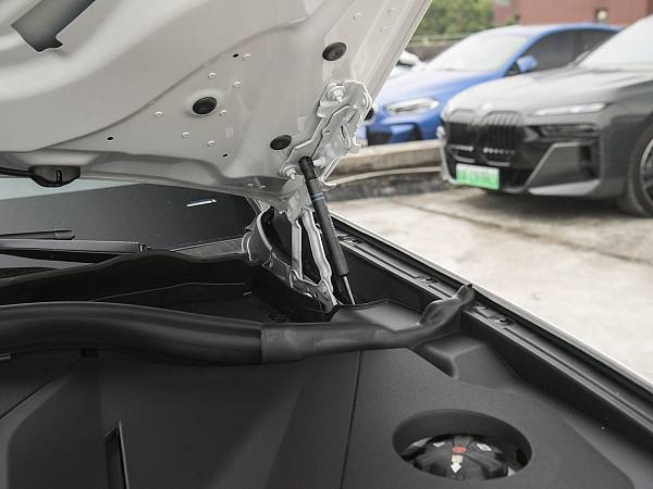 BMW iX3 details (1)