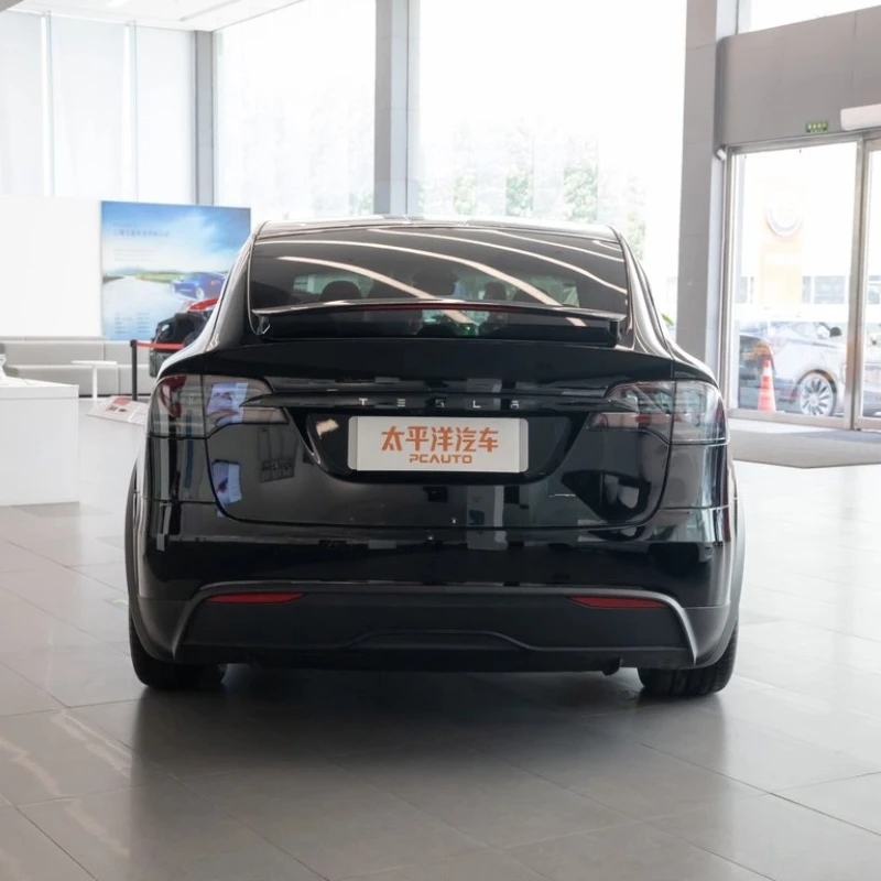 Model X
