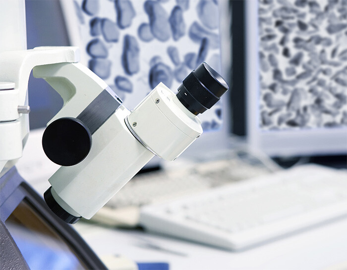 The Science Behind Optical Polishing Pad: What You Need to Know