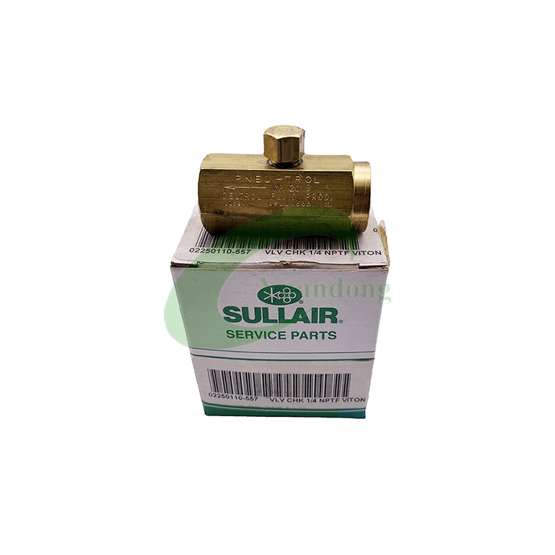 Sullair Air Compressor Spare Parts Check Valve Kit 02250110-557
