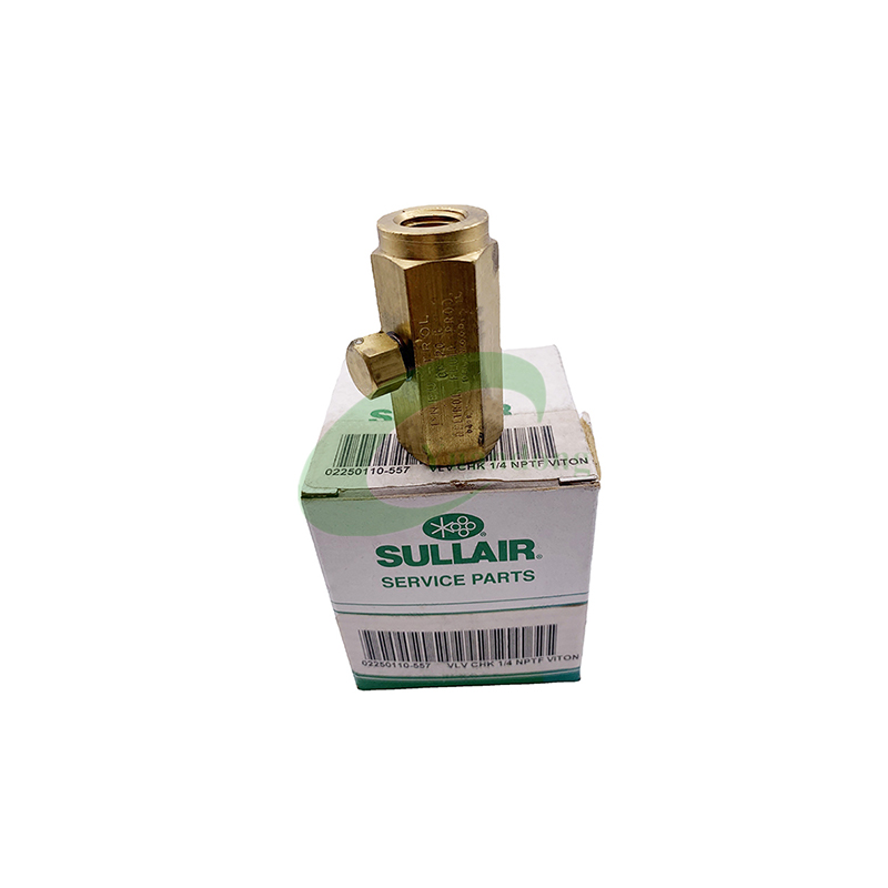 Sullair Air Compressor Spare Parts Check Valve Kit 02250110-557