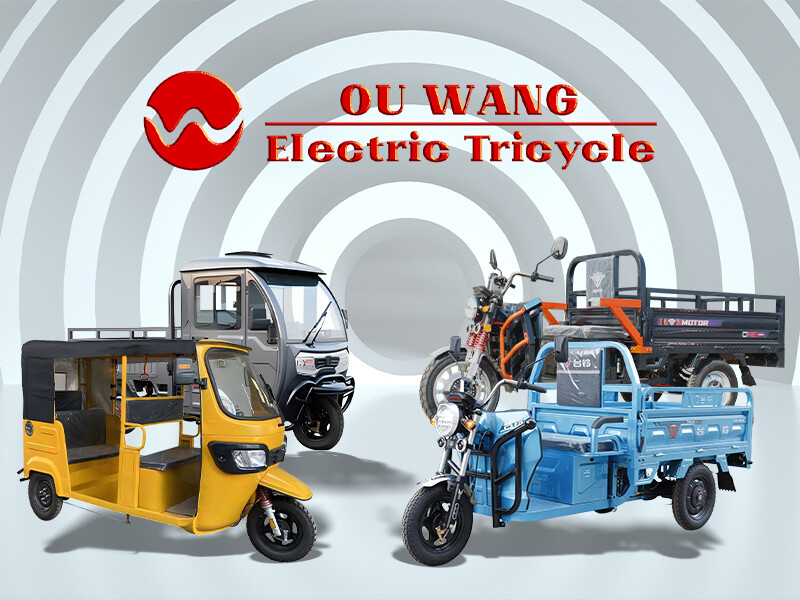 Xuzhou Ouwang Electric Vehicle Industry Co., Ltd