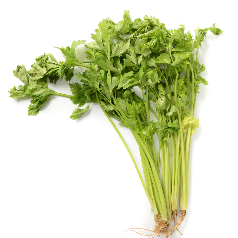 Chinese celery