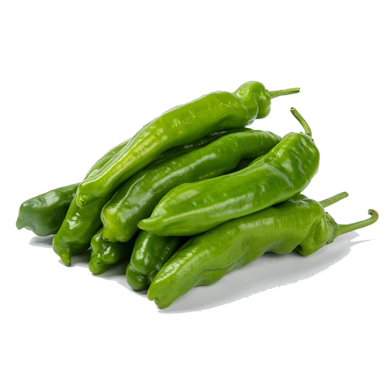 Chili pepper 