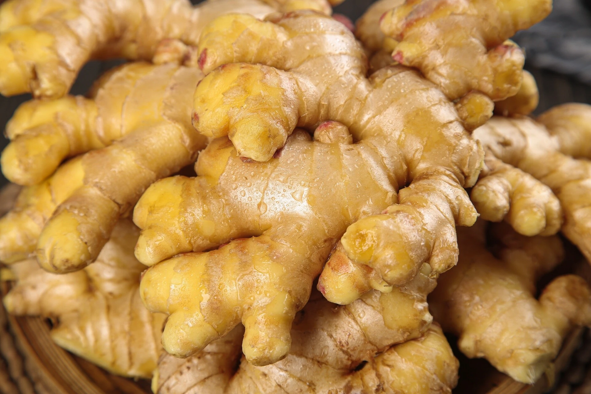 Ginger