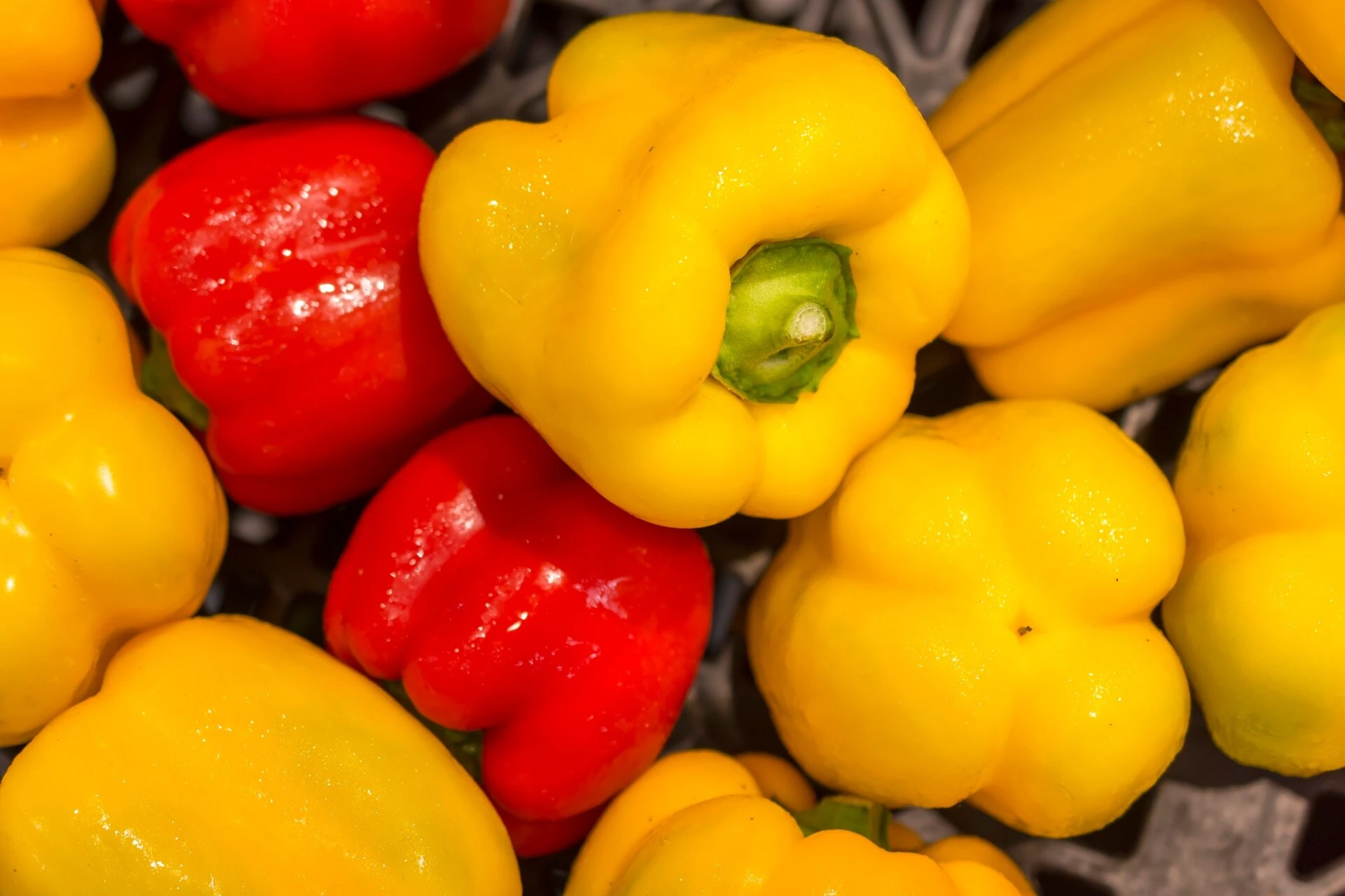 Red bell pepper