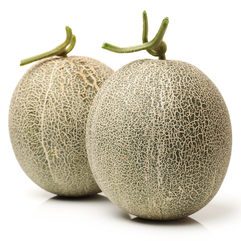 Netted melon