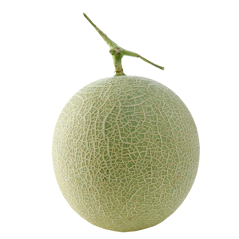 Hami melon