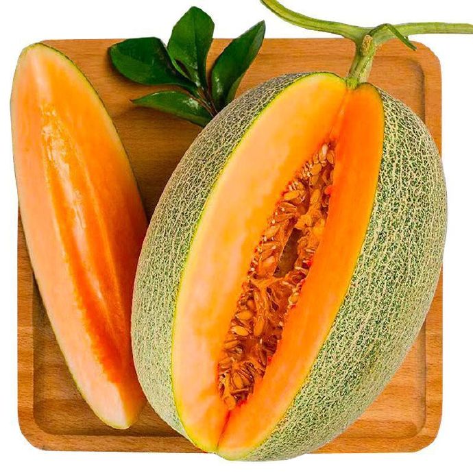 Hami melon