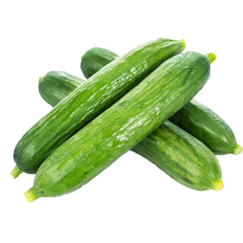 Dutch Melon