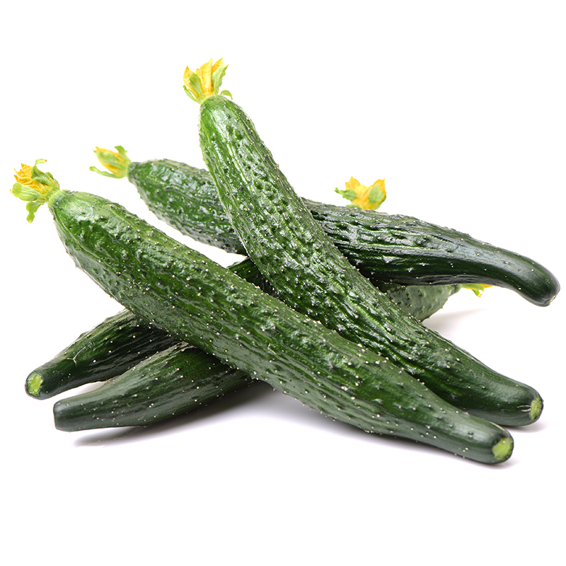 Chinese Cucumber