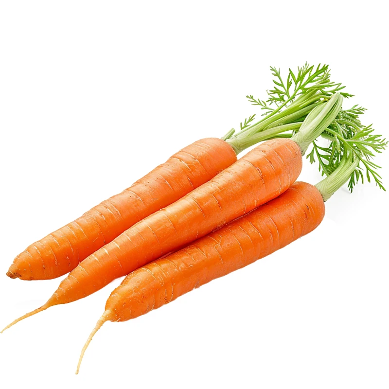 Carrot