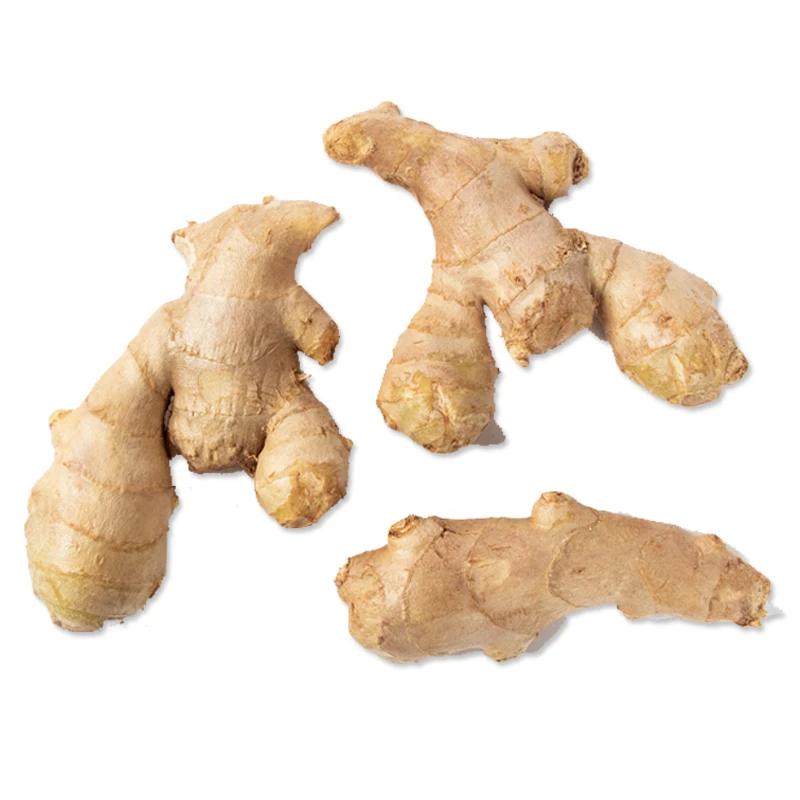 Ginger