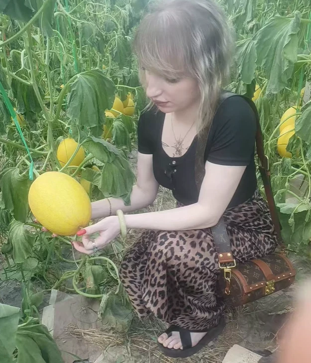 Hami melon