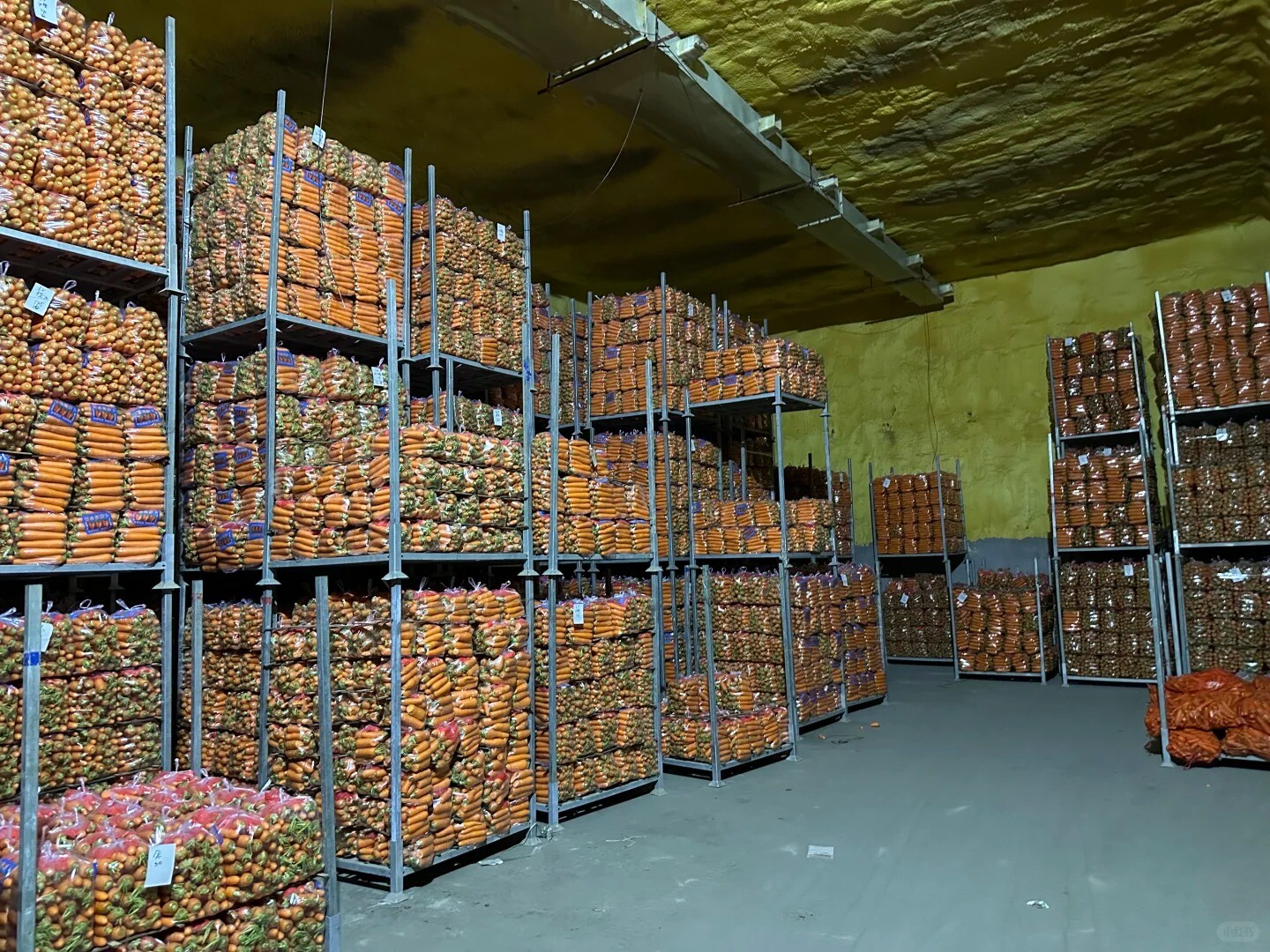 Core Export Farms Certified with Global GAP  