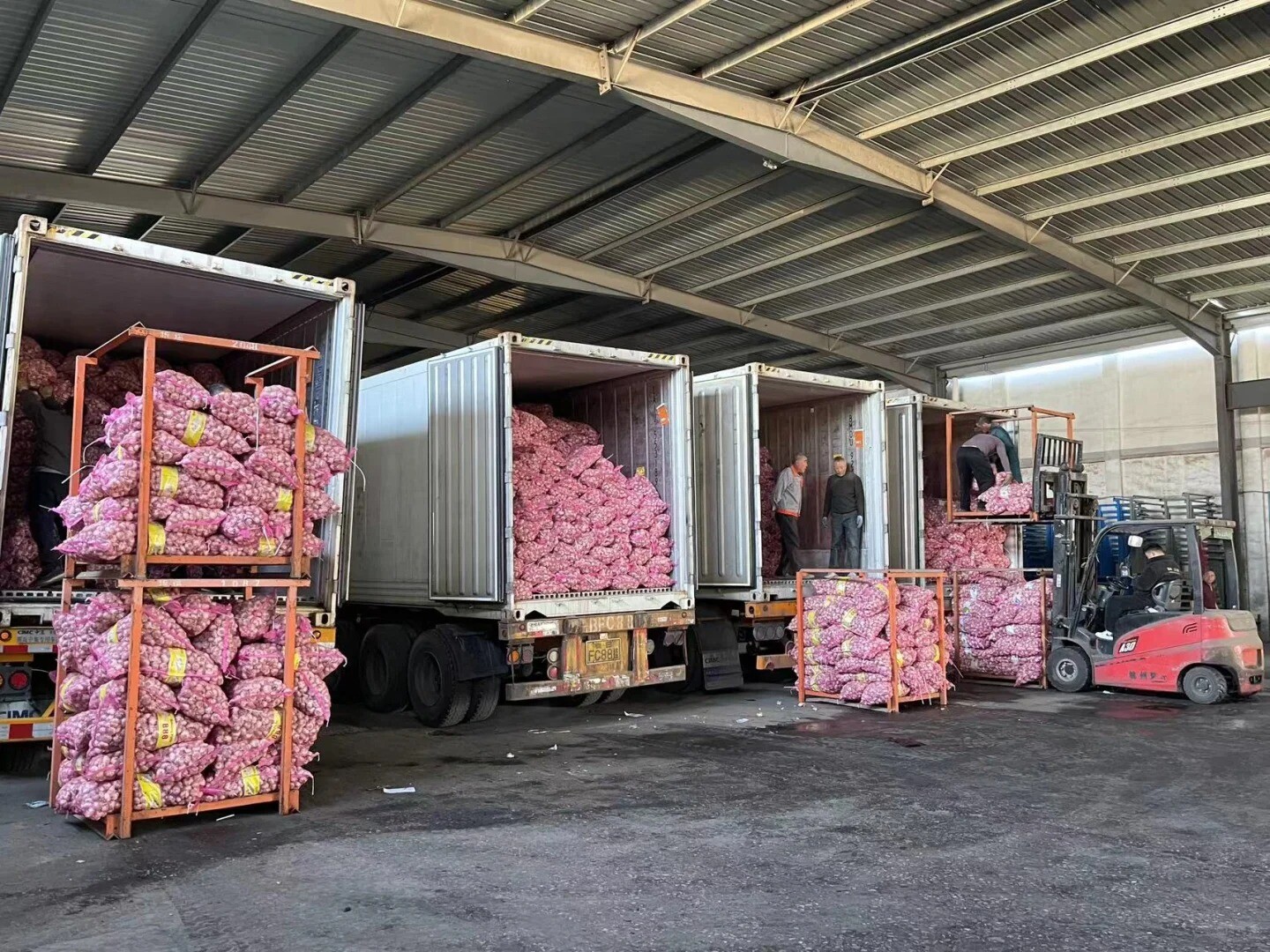 Record-breaking Export Growth in 2025 Record-breaking Export Growth in 2025