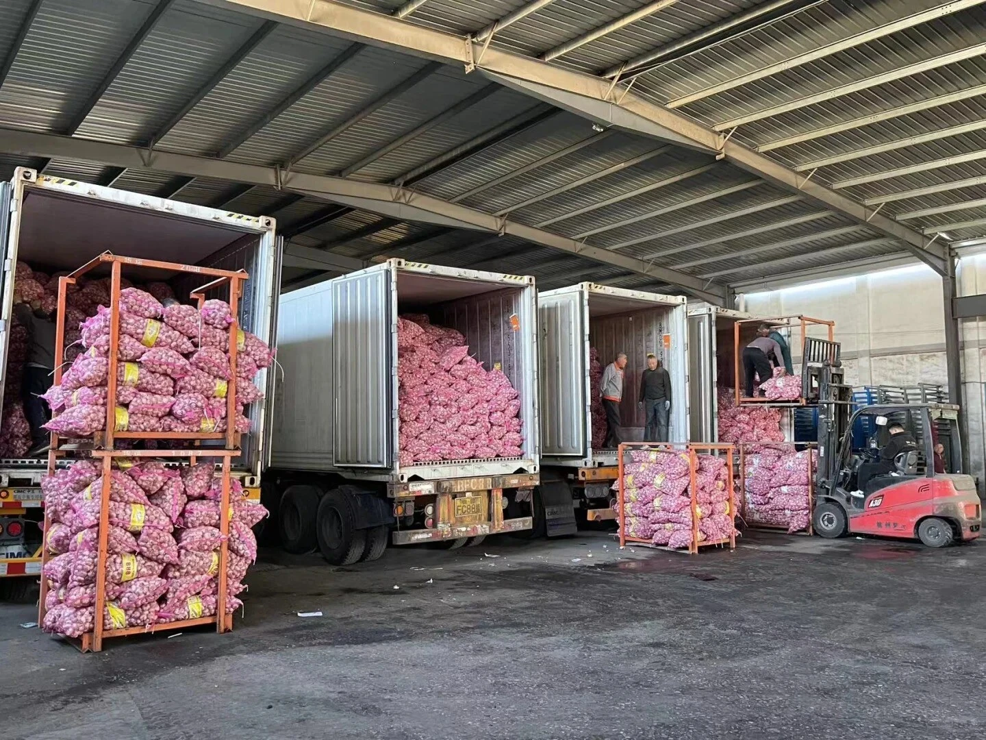 Record-breaking Export Growth in 2025 
