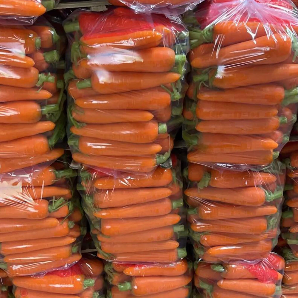 Carrot
