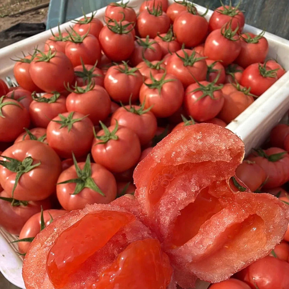 Tomato