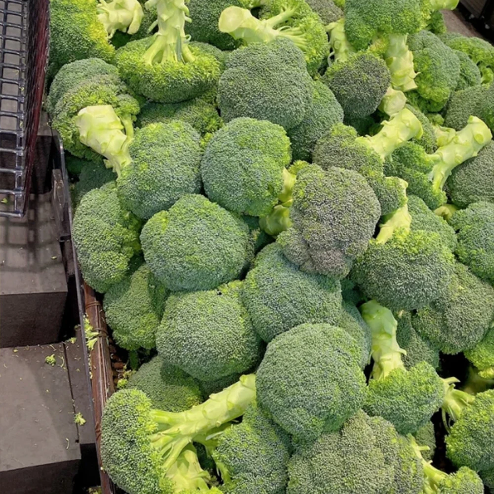 Broccoli