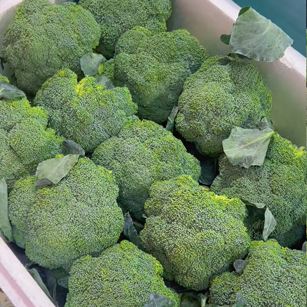 Broccoli