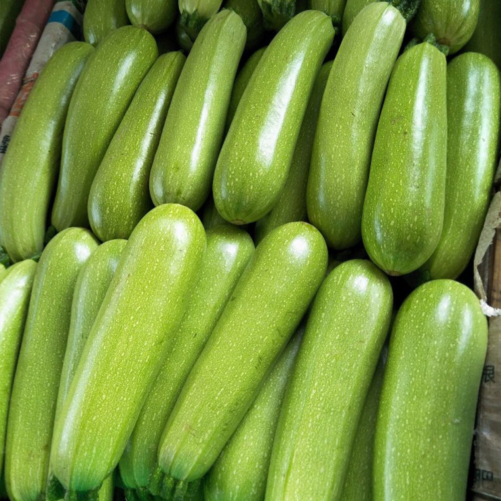 Zucchini