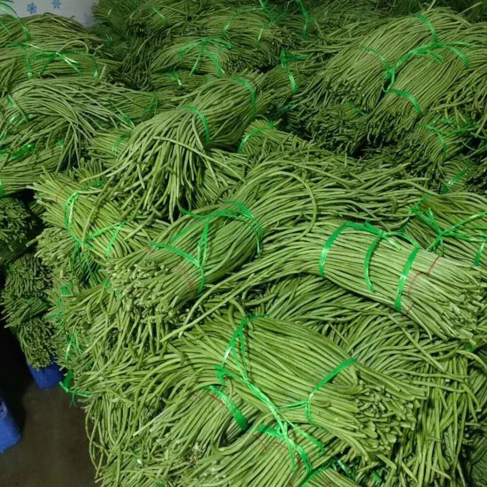Yardlong beans