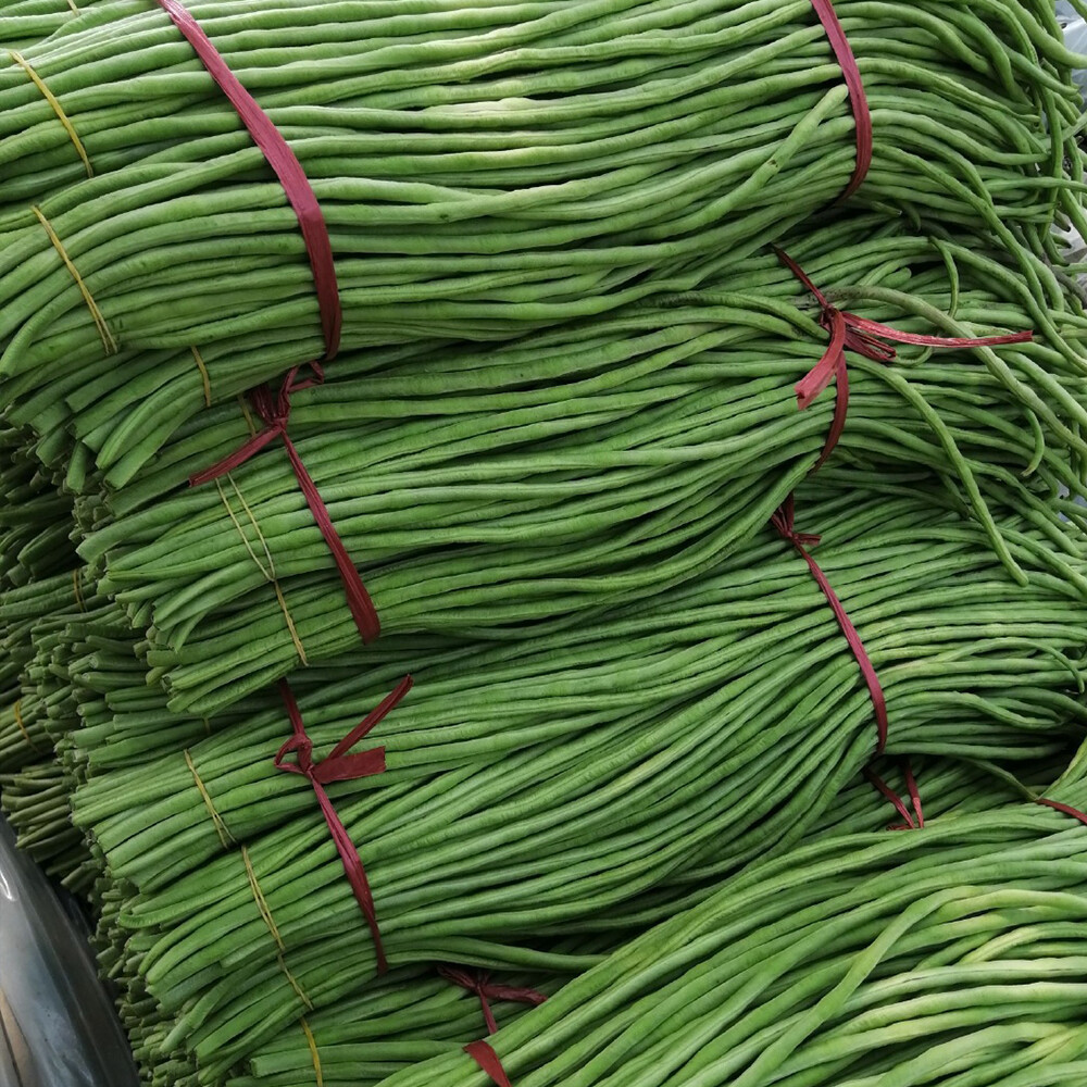 Yardlong beans
