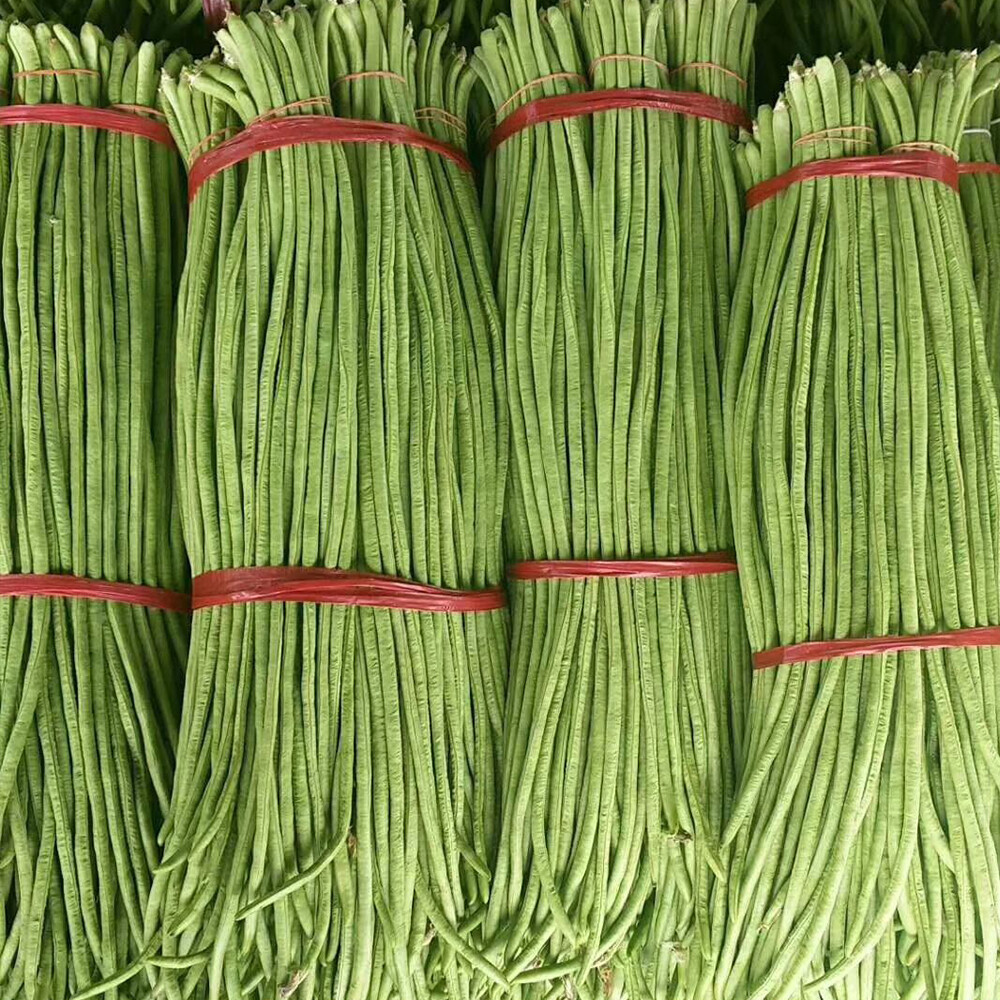 Yardlong beans