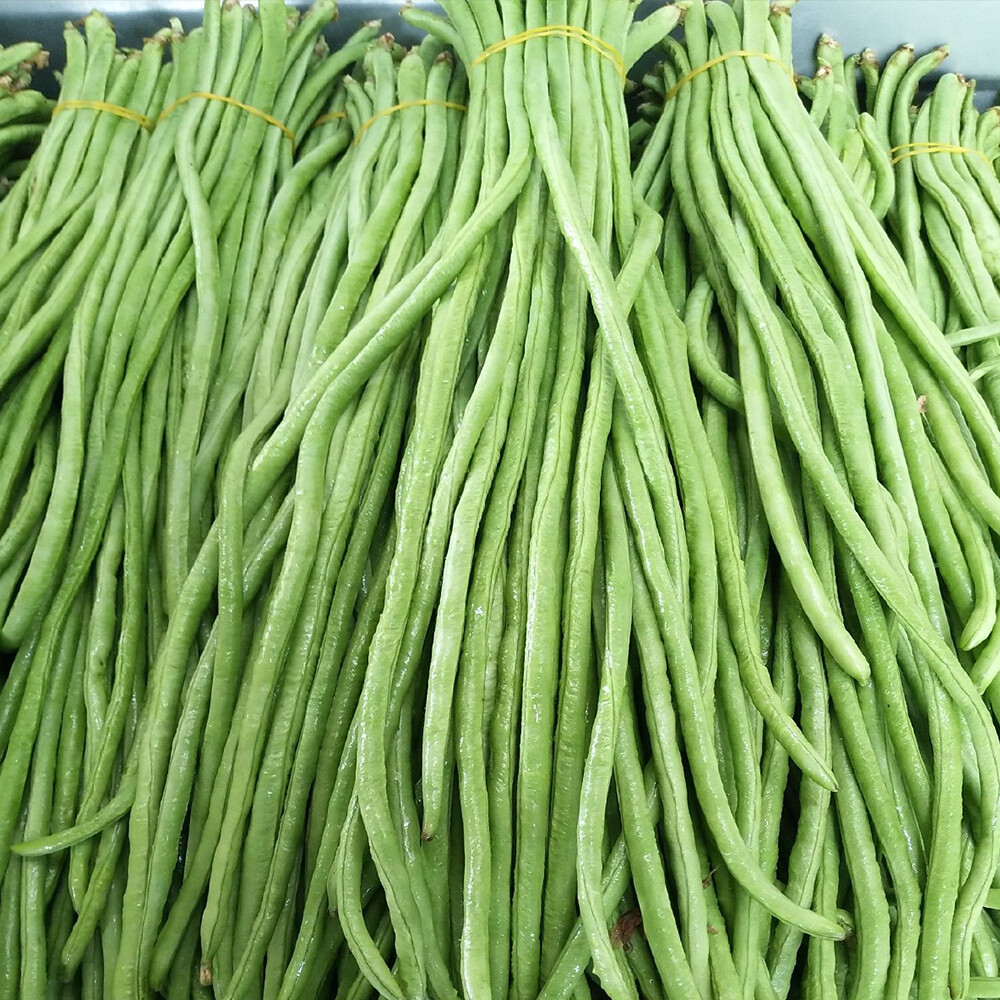 Yardlong beans