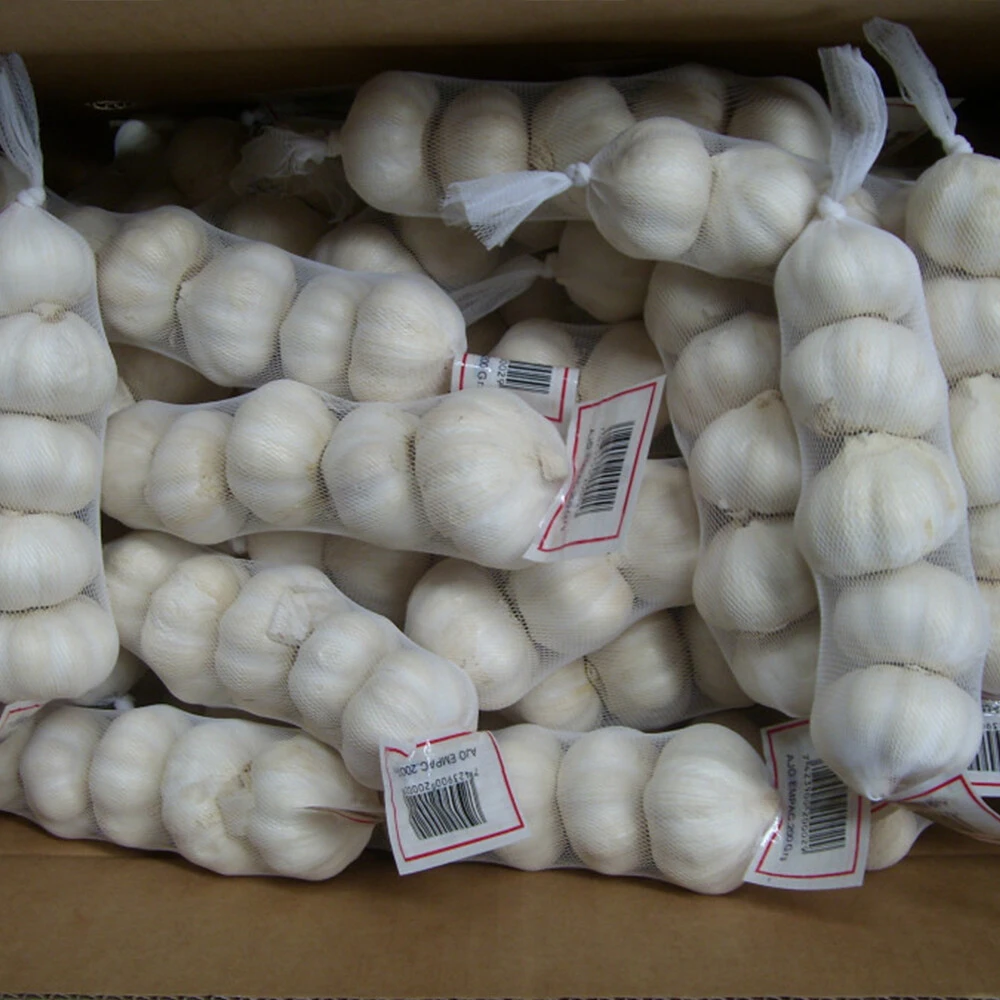 Garlic