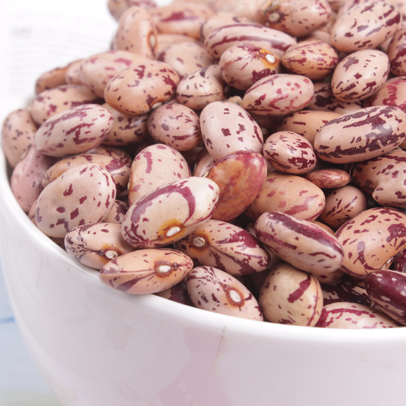 Speckled Kidney Bean