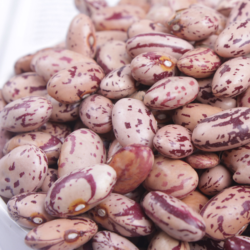 Speckled Kidney Bean
