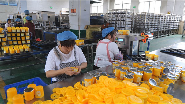 production line