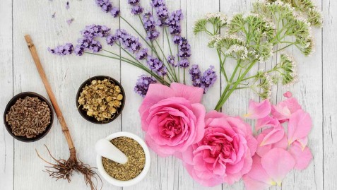 Global Fragrance Preferences The Wonderful Interplay of Regional Culture and Olfaction