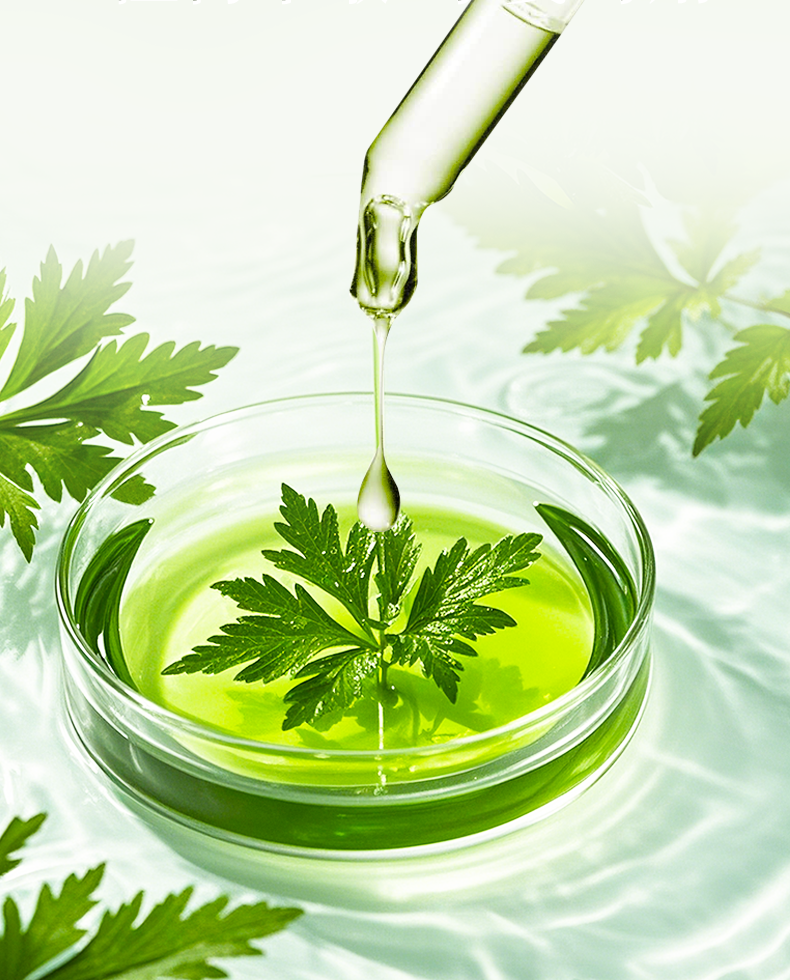 ISO 9001 Certified Fragrance Brands: What's the Advantage?