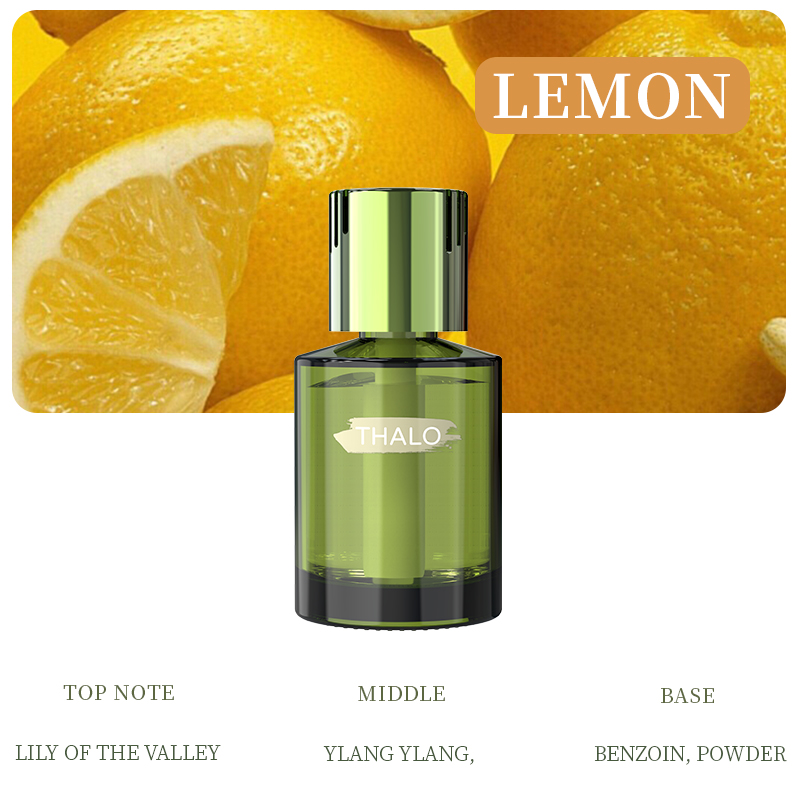 Comparing 7 Home Fragrance Delivery Systems for Commercial Use