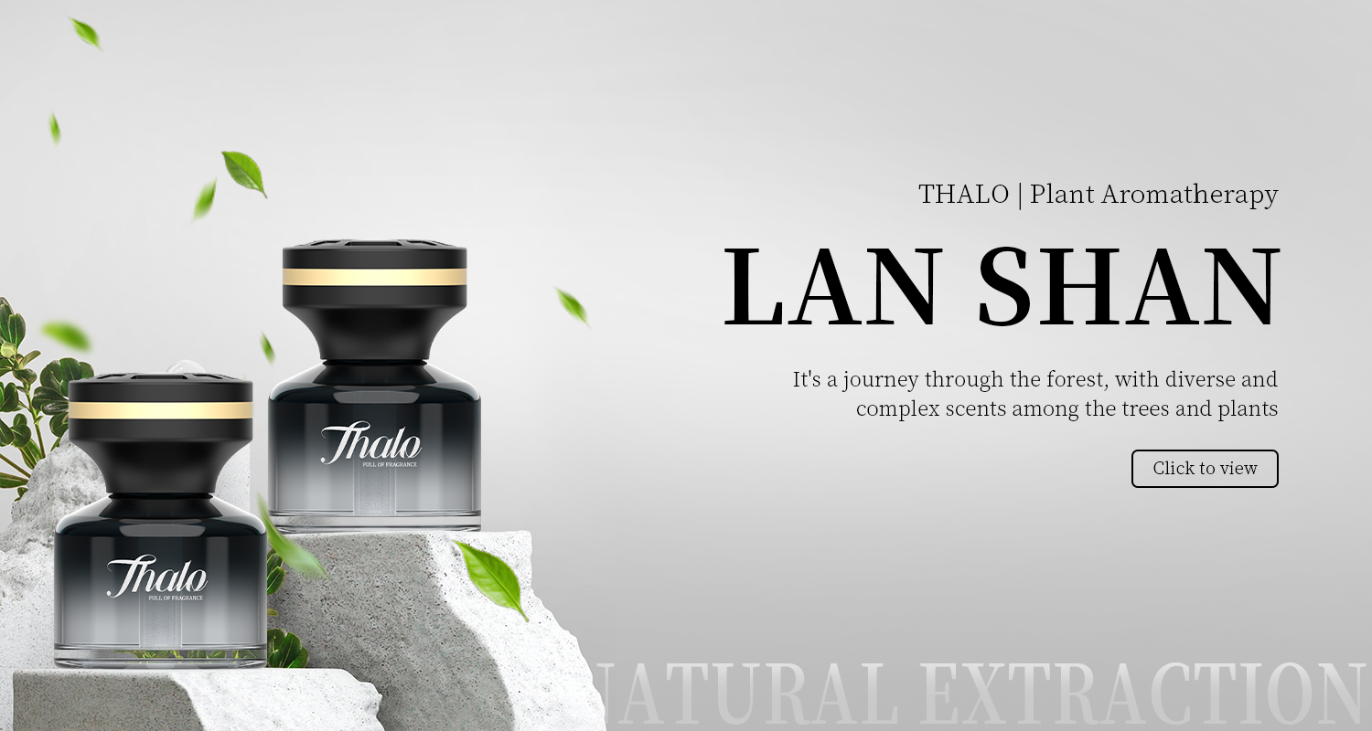Lanshan Automotive Aromatherapy