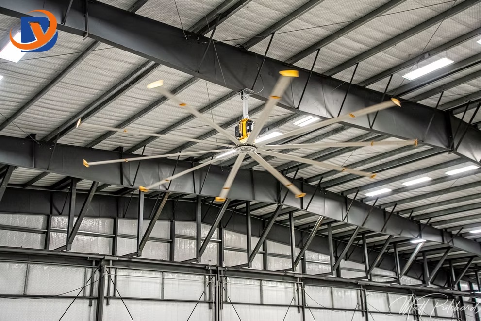 Steel Frame Structure