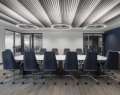 Acoustic Ceilings