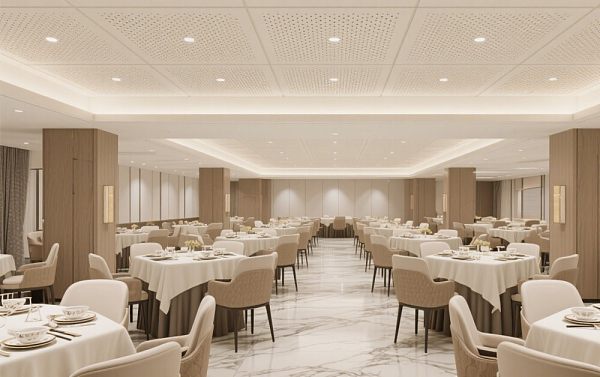 Acoustic Ceilings