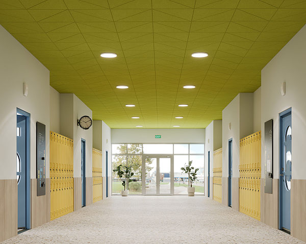 Acoustic Ceilings