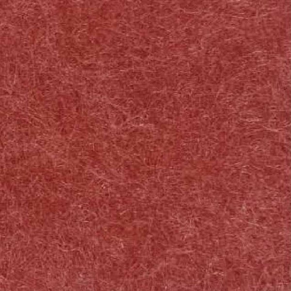 AP40 Begonia Red