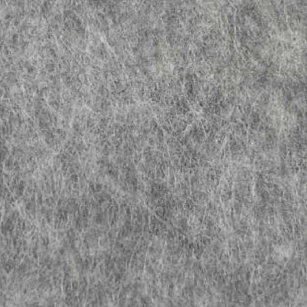 AP22 African Gray