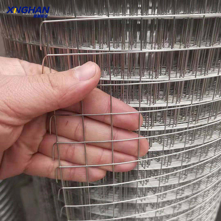 Galvanized welded wire mesh fence