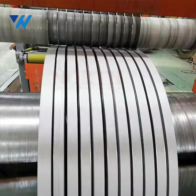 Stainless Steel Strip
