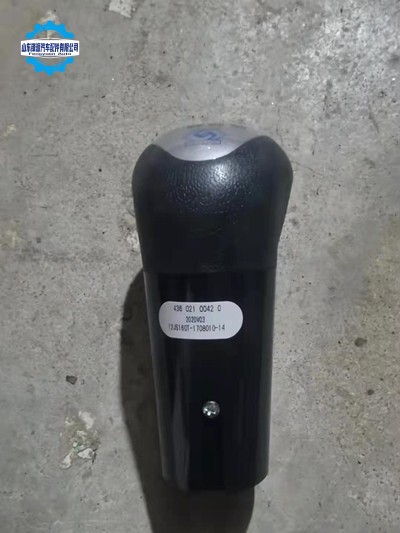 WG9700240015Pommeau de levier de vitesses