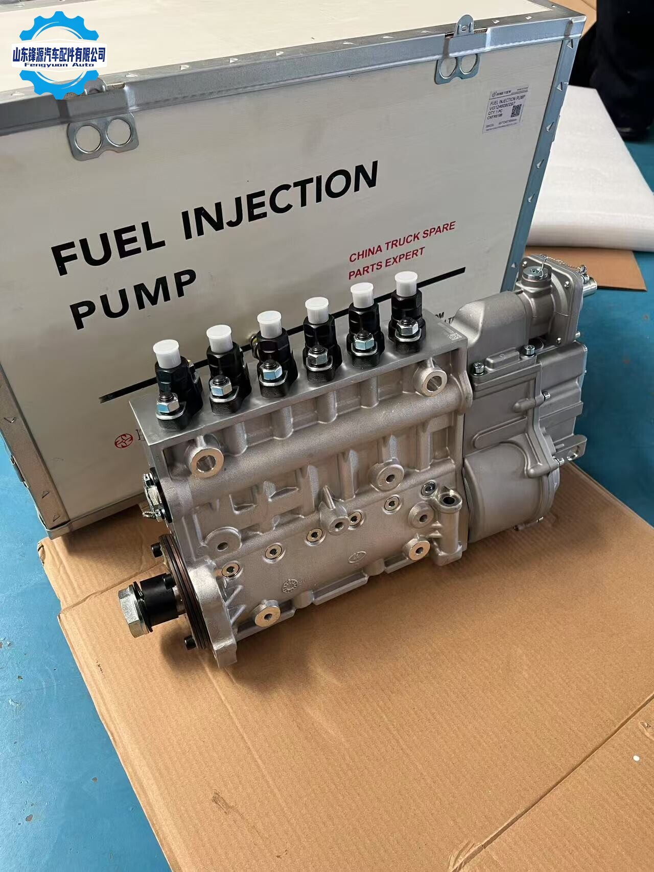 Ensemble de pompe à injection de carburant