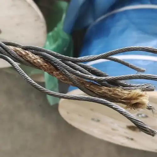 Why does the 6×19 series wire rope remain a mainstream product in the global market?
