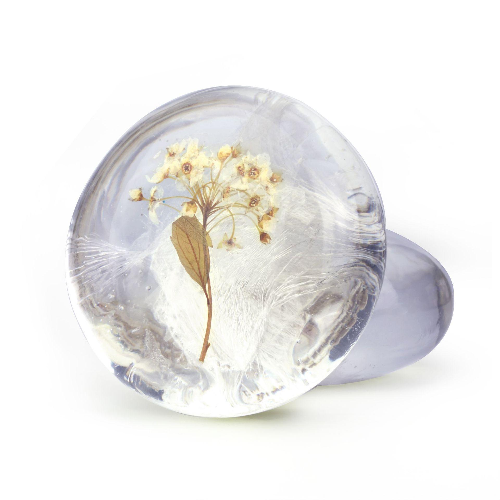 Cross-border foreign trade soap, white autumn colchicine shampoo soap essence, black hair handmade soap, moisturizing and smoothing hair care soap, shampoo soap